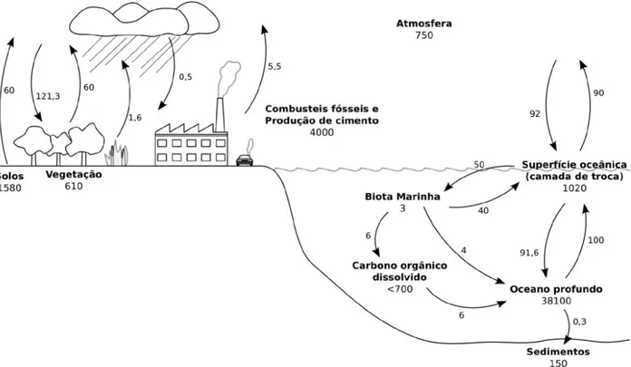 Figura  1.3:  Esquema do ciclo  global  do  carbono. Estimativa dos fluxos e  reservas  totais  com  base em  dados  do  National  Oceanic and   Atmospheric Administration  (NOAA)