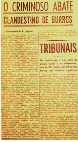 Figura 5.2 - Recorte do  “ Diário de Noticias ”  de  27/01/1967,  sobre  o  caso  dos  burros  da  Malveira