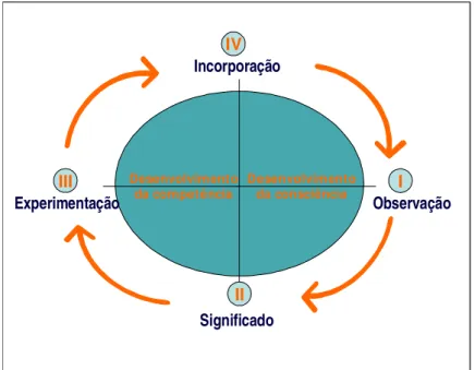 Figura 3 - O ciclo básico do aprendizado  Fonte: Tranjan, R.A. (1999, p.143) 