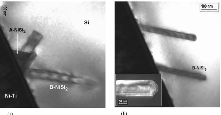 Fig. 3.7: X-TEM micrographs of the Ni-Ti film grown on naturally oxidized Si(100) without V b ;  (a) two types of interfacial reaction products are perceptible in the image (A-NiSi 2  and B-NiSi 2 ), 