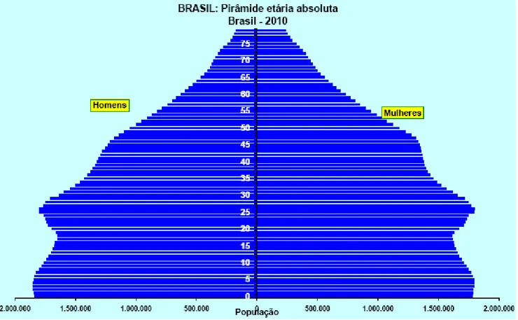 Figura 2. Pirâmide etária absoluta do Brasil  – projeções para  2010. (6)