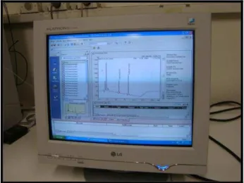 Figura 16- Shimadzu LC Solutions software 