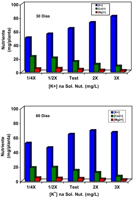 Figura 3 - Efeito do tratamento de plantas matrizes de cenoura por 30 e 60 dias  com soluções nutritivas contendo variáveis níveis de potássio no  teor de potássio, cálcio e magnésio nas plantas matrizes