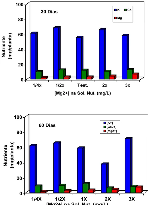 Figura 5 - Efeito do tratamento de plantas matrizes de cenoura por 30 e 60 dias  com soluções nutritivas contendo variáveis níveis de magnésio no  teor de potássio, cálcio e magnésio nas plantas matrizes