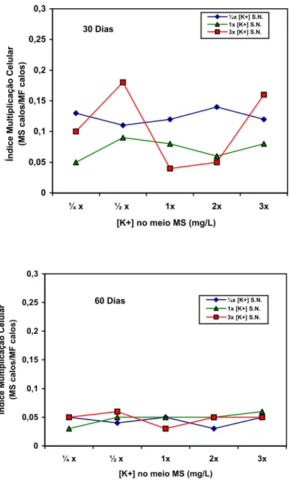 Figura 7- Índice de Multiplicação Celular (MS calos/MF calos) em                   explantes de matrizes de cenoura tratados por durante 30 e                  60 dias com soluções nutritivas contendo variáveis níveis de                 potássio e cultivado