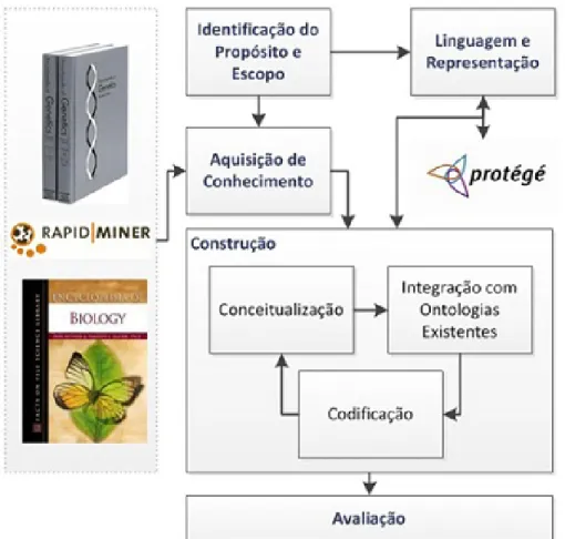 Figura 23: Ciclo de Vida de Construção da Ontologia de Termos da Informação na Genética - Fonte: