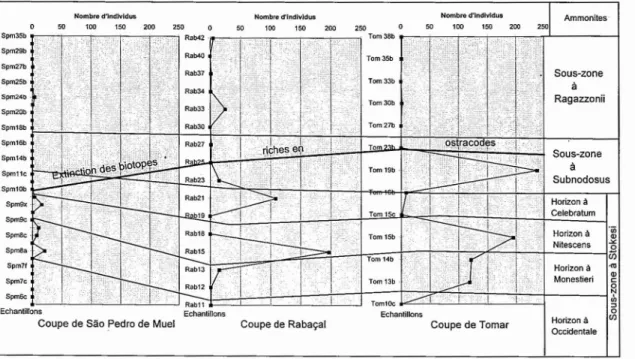 Figure 7 - Évolutionde la densité faunique sur les coupes du Domériendu Bassin Lusitanien.