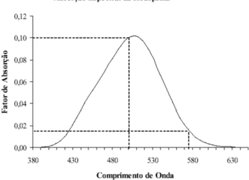 Figura 6: Absorção espectral da Rodopsina, fotorreceptores bastonetes. 