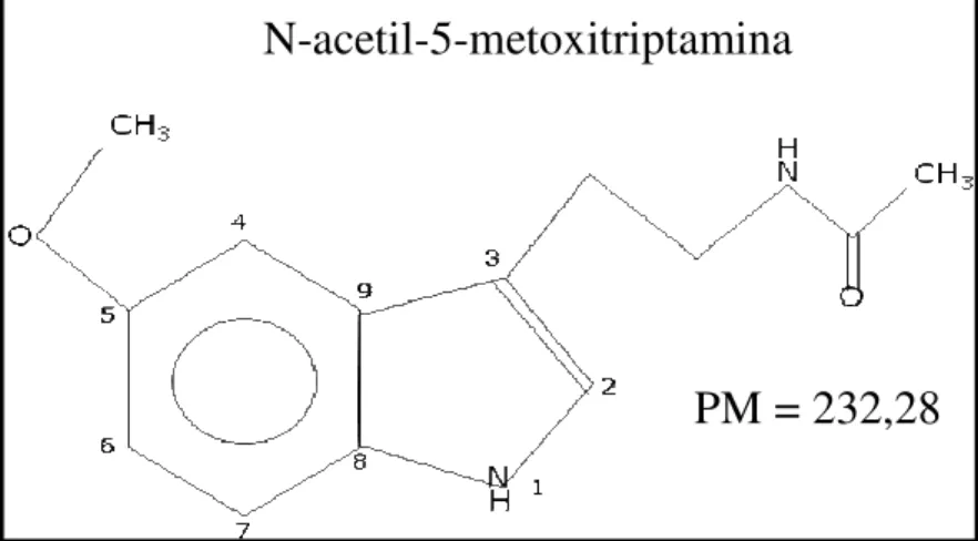 Figura 3. Estrutura química da melatonina (Adaptado de CIPOLLA-NETO e AFECHE, 2008). 