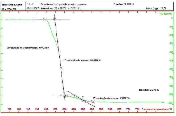 Fig ura 7.29 - Curv a de  TG da pare de inte rna da am os tra A0 (prove te  1)