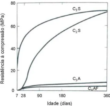 Figura 2.15 - Desenvolvimento da resistência nos compostos puros de cimento Portland. [12] 