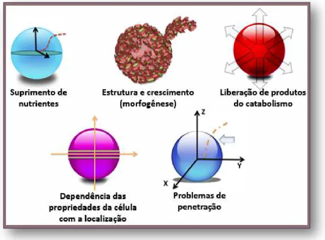 Figura  6  -  Ilustração  esquemática  mostrando  diferentes  linhas  de  pesquisa  que  podem  ser  estudadas nos tumores esferóides multicelulares (42)