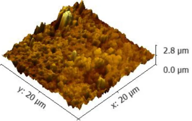 Figure 3.7 – The 3D view of the lithium based polymer electrolyte printed by screen-printing on glass substrate  achieved by AFM.