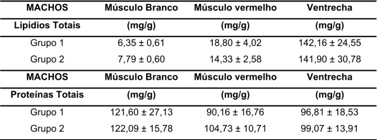 Tabela 04: Dados de lipídios e proteínas totais da musculatura branca,  vermelha e ventrecha em machos de Arapaima gigas dos grupos 1 e 2