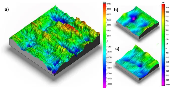 Figure 4.7 – Topographic mapping of regular printing paper (a), paper FS2 (b) and paper FS3 (c) through 3D  profilometry on an area of 0.5x0.5 mm 2 