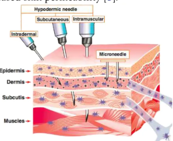 Figure 1.2: Layers of human skin and comparison between two systems of transdermal drug delivery: hypodermic needles and microneedles method (adapted [11]).