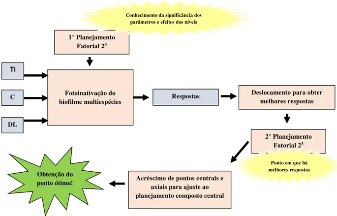 Figura 13: Otimização da fotoinativação do biofilme multiespécies utilizando modelos matemáticos, sendo os  parâmetros (Ti): tempo de incubação; (C): concentração do FS e (DL): Dose de Luz