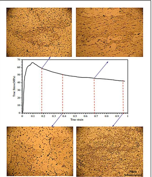 Figure 2.15 - Microstructural evolution of Ni-Ti alloy with increasing strain, deformed in compression at  temperature of 1050 ºC and a strain rate of 0.1 s -1 