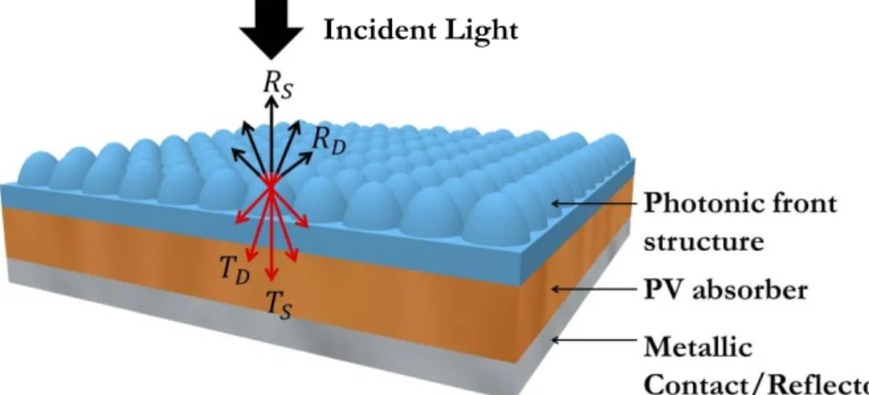 Figure 1.3.1 – Representation of front side photonic micro-domes with light scattering properties