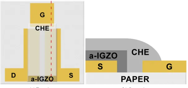 Figure 2.3: Schematic illustration of the CHE-gated IGZO EGTs used in this thesis
