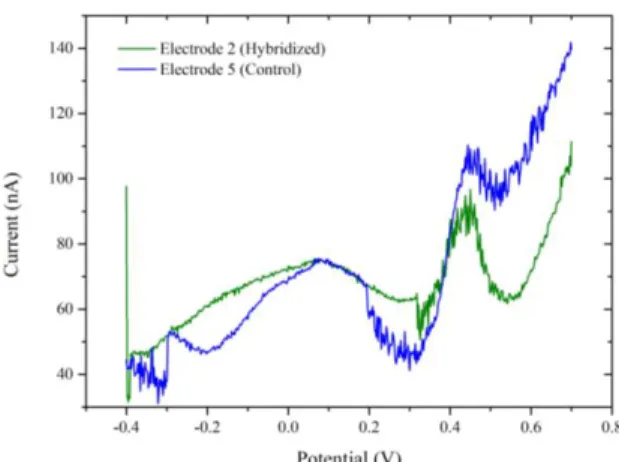 Figure 3.15 - DPV curve of 55.57 µM intercalator for the detection of PNA/DNA duplexes and the current as the  function of the complementary DNA concentration