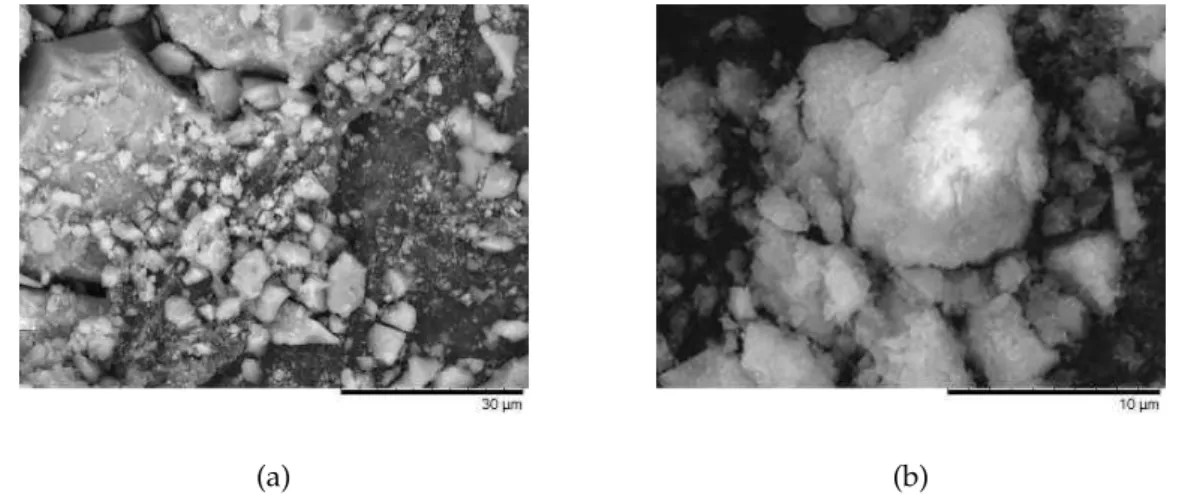 Figure 4.1: Morphology analysis by SEM of nickel particles obtained by hydrothermal method with nickel sulphate hexahydrate (a) and with nickel chloride (b).