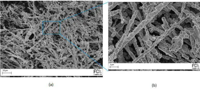 Figure 4.4: Morphology analysis by SEM of nickel nanowires obtained by hydrothermal  method with magnetic field, showing a bead composition observable in the  magnified  area  (b).