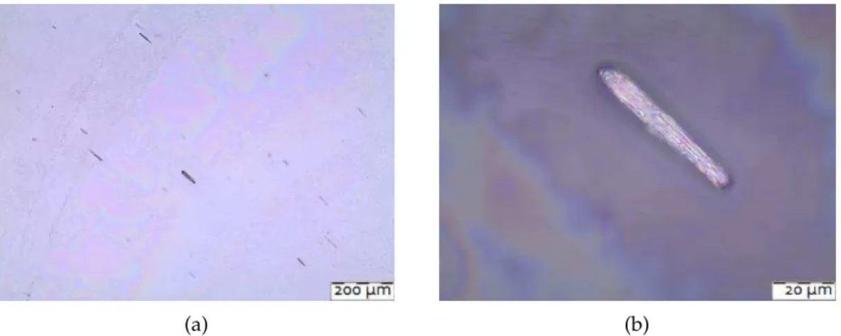 Figure 4.6: Optical microscopy analysis of nickel nanowires obtained by electrochemical  method with an alumina membrane and batteries as voltage source dispersed in IPA and  dropcasted in a glass substrate with a magnification on the centre aggregate (b).