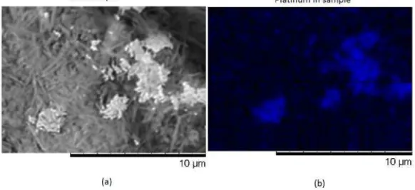Figure 4.9: Element analysis by SEM-EDS of platinum on nickel nanowires sample obtained by electrochemical method with platinum backcontact on an alumina membrane, where it is possible to see the platinum fragments in blue (b).