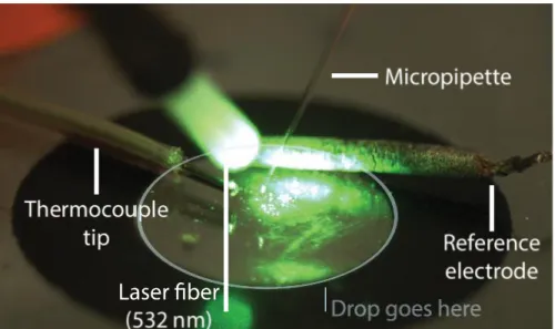 Figure 6 - Annotated photography of the optical fiber setup with the laser turned on. The  thermocouple tip and the reference electrode are both placed close to the surface of the wax 
