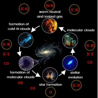 Figure 1.1: Life cycle of the ISM, from warm neutral clouds cooling down and assembling together forming giant molecular clouds, to the formation of stars destroying the  molecu-lar clouds