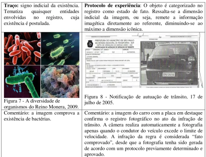 Figura 7 - A diversidade de 