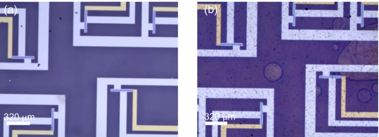 Figure 4-9: Optical microscope image of the TFTs fabricated on (a) glass substrate; (b) Kapton  substrate