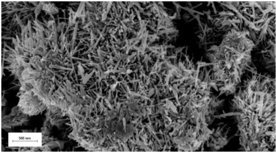 Figure 4.3 - SEM image of synthesized ZTO NWs by a solution-based method. 