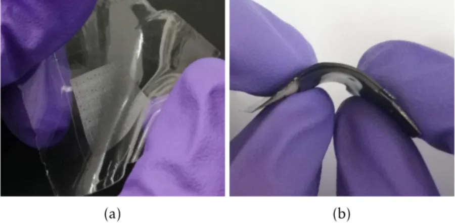 Figure 2.2: Photograph showing the bendability/flexibility of (a) one microstructured membrane that was peeled o ff from a h-PDMS mold
