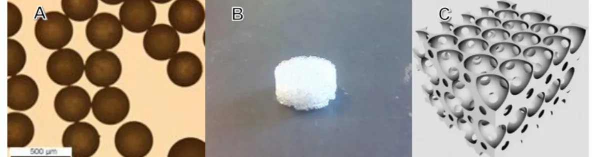 Figure 2.1  –  The three main steps to produce an inverse colloidal crystal. A  –  Polystyrene  microspheres