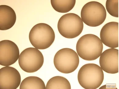 Figure 4.1  –  Optical microscope image of polystyrene microspheres obtained with the selected  production parameters