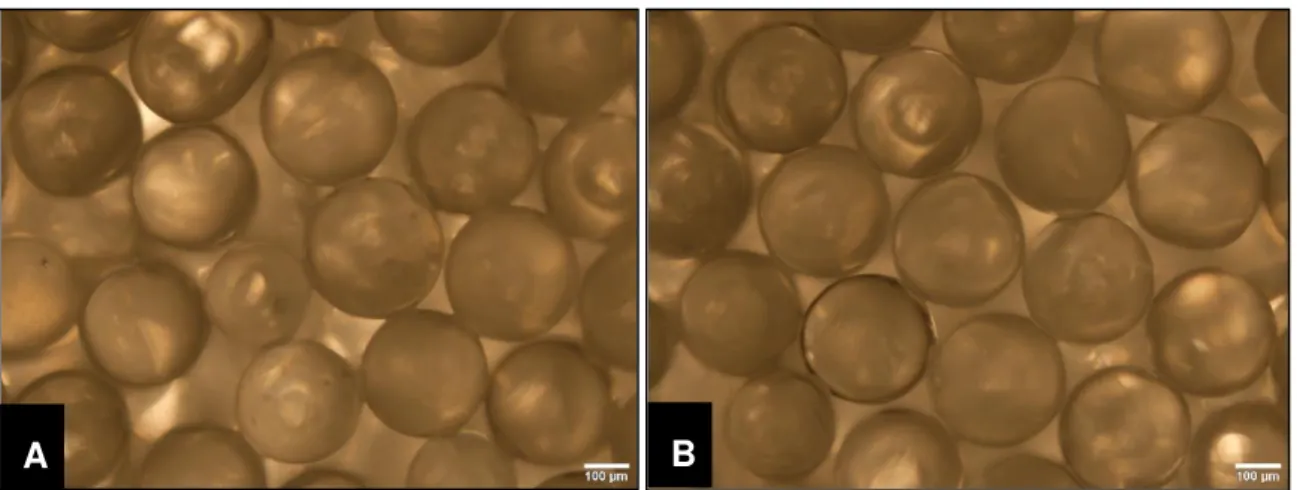 Figure 4.2  –  Optical microscopy images of one CC structure and some defects. 