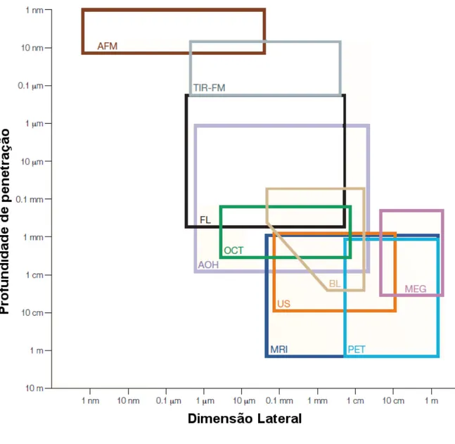 Figura 1.2: Compara¸c˜ao da t´ecnica OCT com outras t´ecnicas de imagem (AFM, Microscopia de For¸ca At´ omica; AOH, Histologia ´ Optica; BL, Bioluminescencia; FL, Microscopia de Fluorescencia; MEG, Magnetoencefalografia; MRI, Imagem de Resonˆ ancia Magn´ e