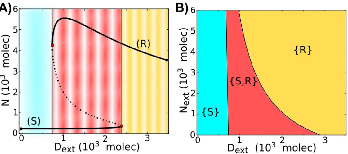 Figure 2.2: Dynamical system characteristics of the Notch-Delta circuit. A) Bifurcation, for the one-cell case, of Notch protein levels on the membrane as a function of the number of external Delta (D ext ) for fixed N ext = 500 molecules