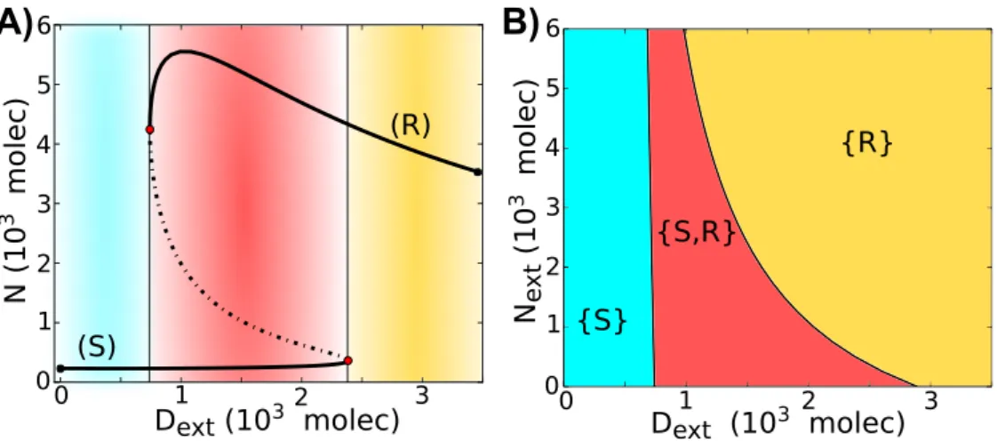 Figure 2.2: Dynamical system characteristics of the Notch-Delta circuit. A) Bifurcation, for the one-cell case, of Notch protein levels on the membrane as a function of the number of external Delta (D ext ) for fixed N ext = 500 molecules