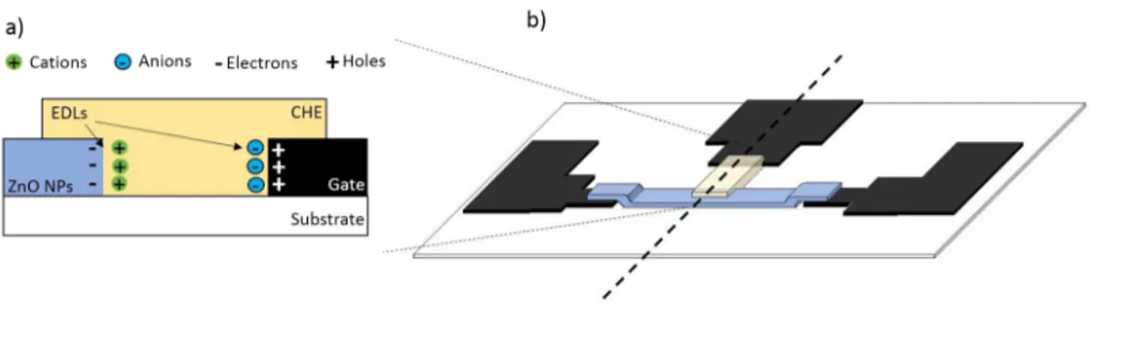 Figure 2.1: a) Cross-section schematic representation of the EDL formations at each interface