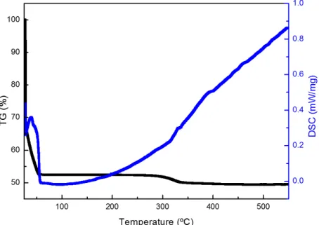 Figure 4.2: TG-DSC curves of Z40H5 ink.