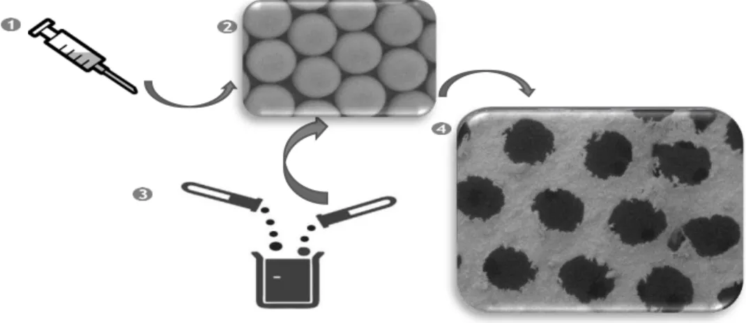 Figura 2.1 - 1) Produção das microesferas; 2) Enformação da estrutura do CC; 3) Impreg- Impreg-nação dos CC com cimento de brushite; 4) ICC de brushite, adaptado de João et