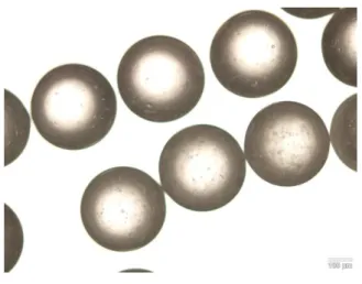 Figura 3.1 - Microesferas de PS produzidas por microfluídica. 
