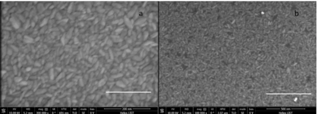 Figure 17 - SEM images of ZnO deposited at 200ºC with a scale of 200nm on a) and 500 nm on b) 