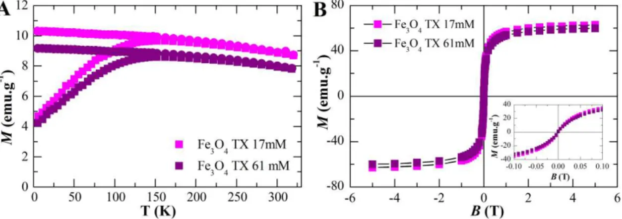 Figure 3.26. Magnetic characterization of triton X-100 Fe 3 O 4  nanoparticles: (A) Zero-field cooled and field  cooled results for TX 17 mM and TX 61 mM; (B) Magnetization vs