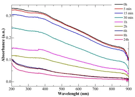 Figure 3.12. UV-VIS spectra of pristine Fe 3 O 4  NPs immediately after sonication and after different periods  up to 24 h