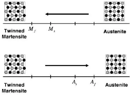 Figure 4 – Temperature-induced phase transformation of na SMA without mechanical loading