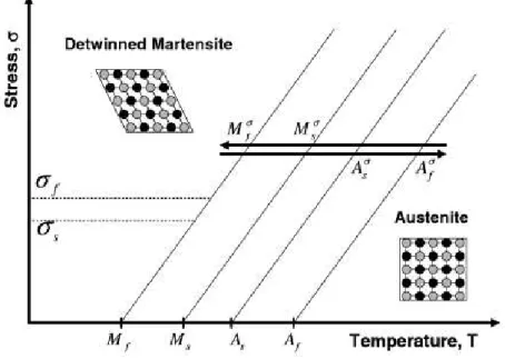 Figure 7 – Temperature-induced phase transformation in the presence of applied load. [1] 